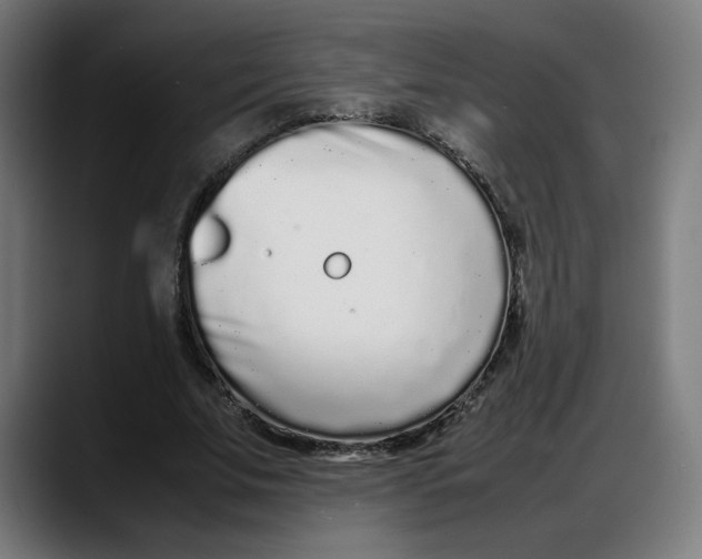 X0000087750679200705291034