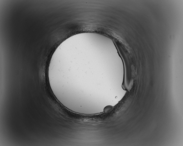 X0000087750681200705291034