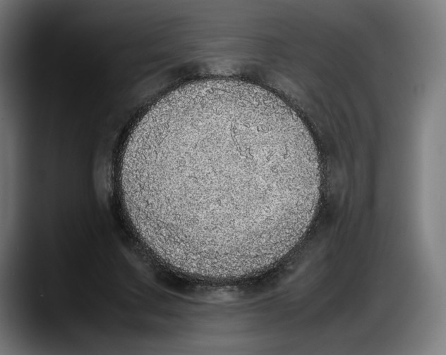 X0000087750683200705291034