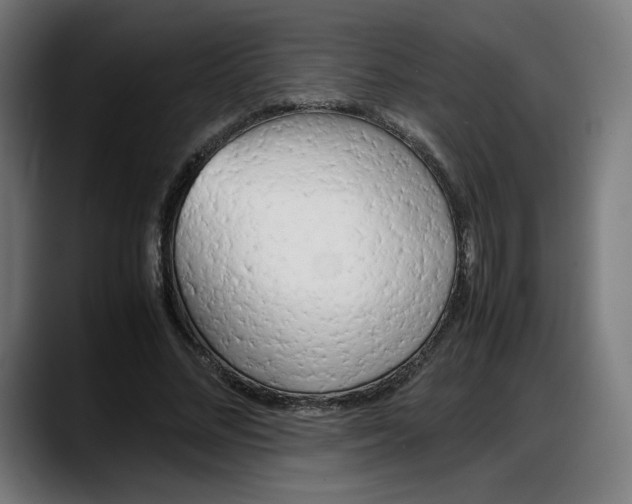 X0000087750684200705291034