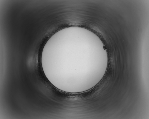 X0000087750686200705291034