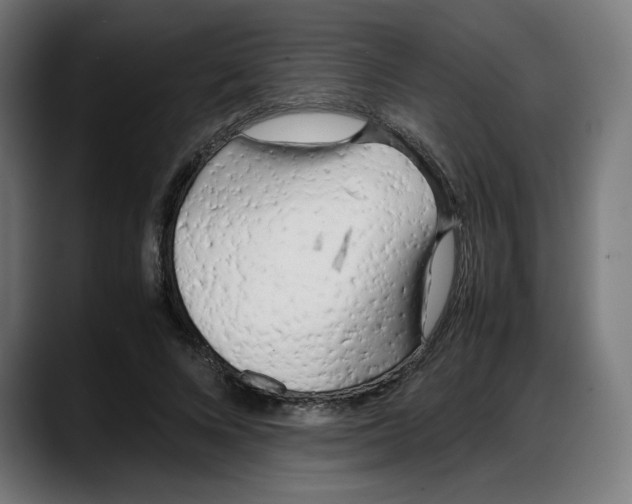 X0000087750688200705291034