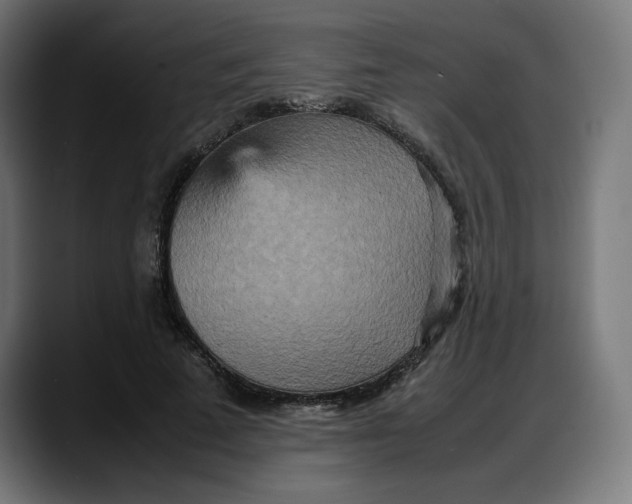 X0000087750689200705291034