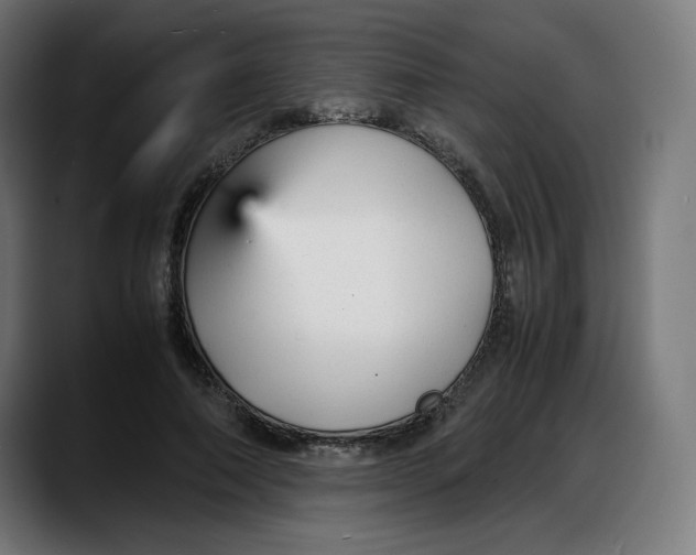 X0000087750690200705291034