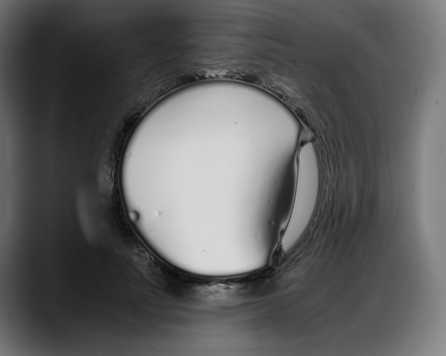 X0000087750691200705291034