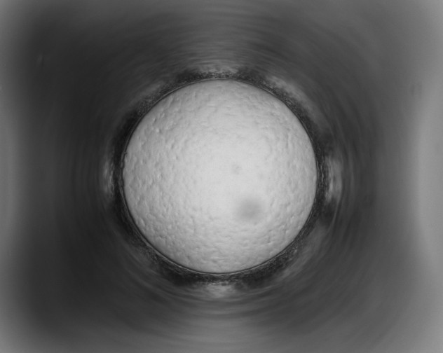 X0000087750692200705291034