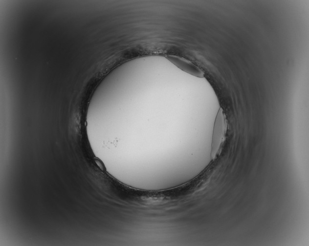 X0000087750693200705291034