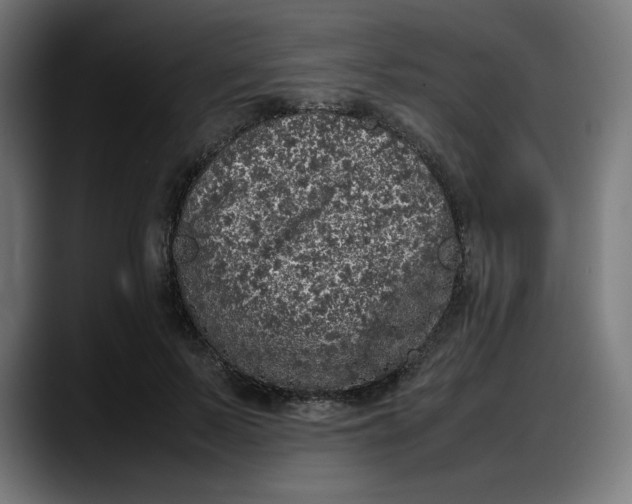 X0000087750695200705291034