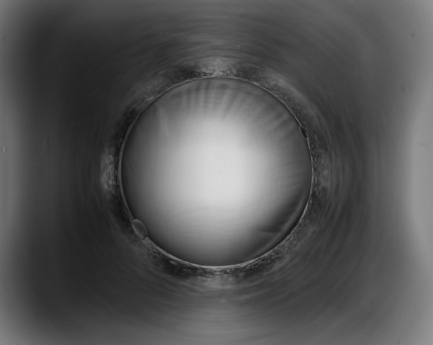 X0000087750696200705291034