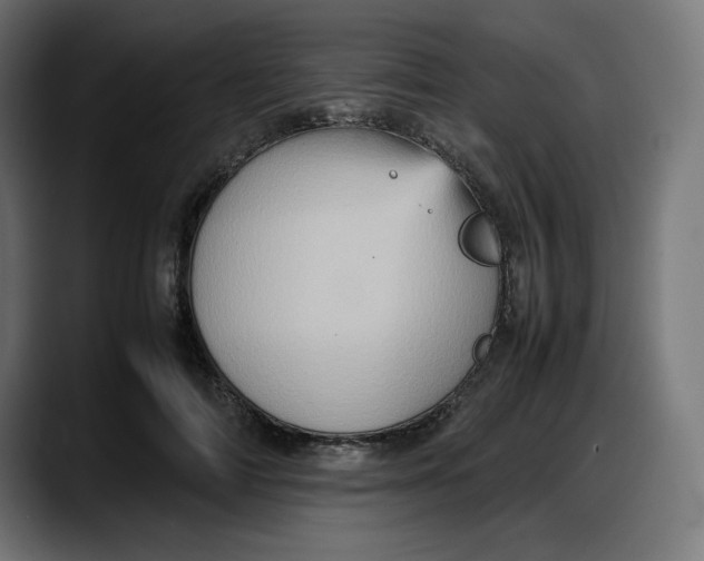 X0000087750698200705291034