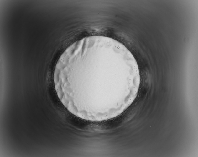 X0000087750699200705291034