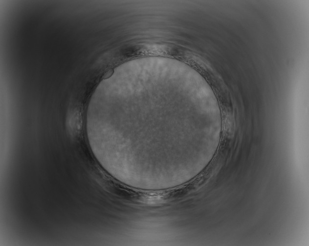 X0000087750701200705291034