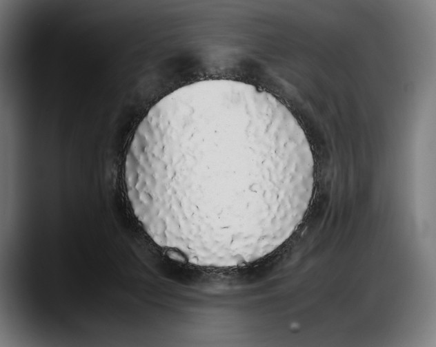 X0000087750703200705291033