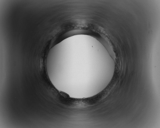 X0000087750704200705291033