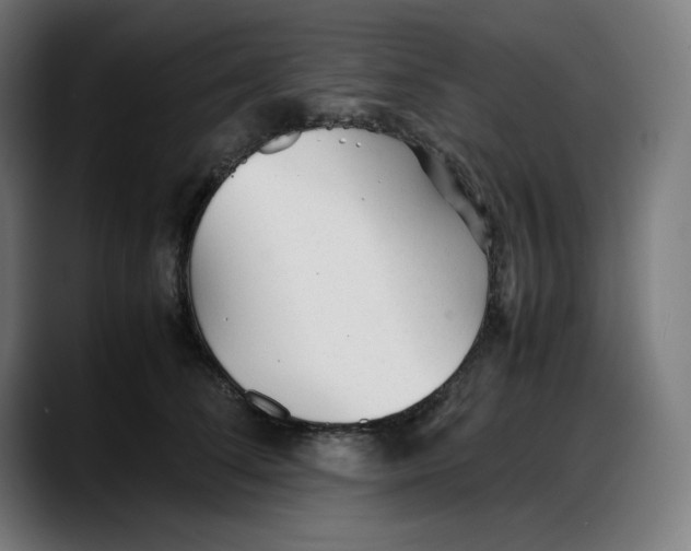 X0000087750708200705291033