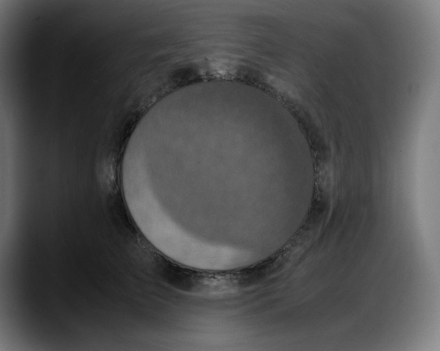 X0000087750709200705291033