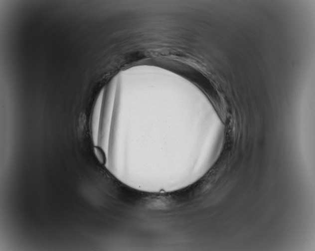 X0000087750711200705291033