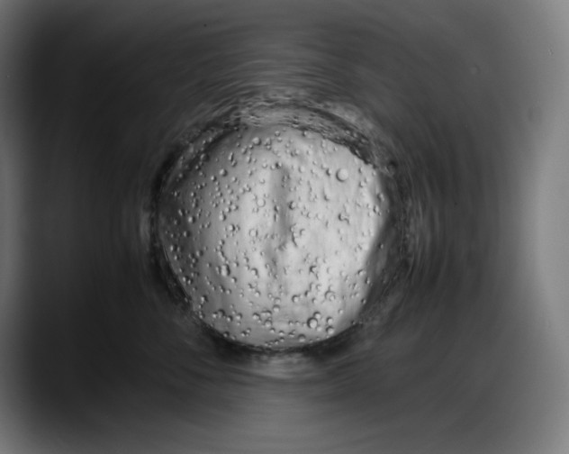 X0000087750716200705291033