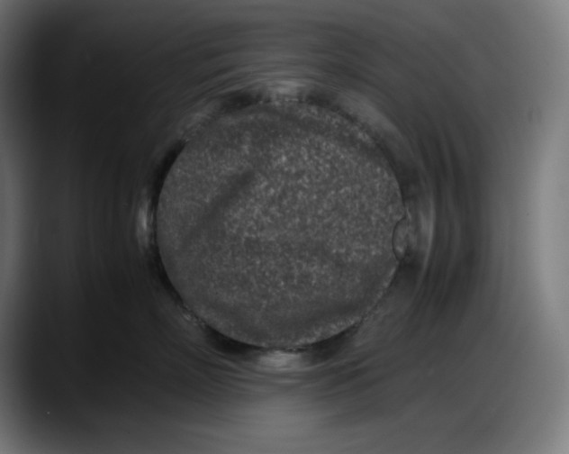 X0000087750718200705291033