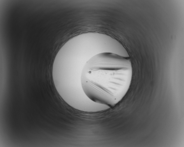 X0000087750720200705291033