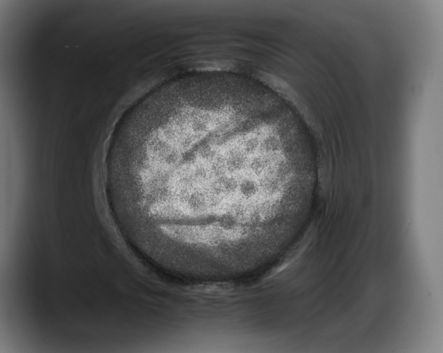 X0000087750721200705291033