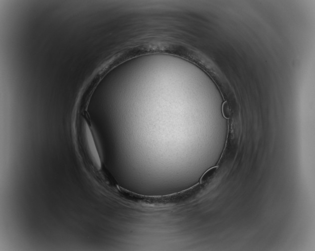 X0000087750722200705291033