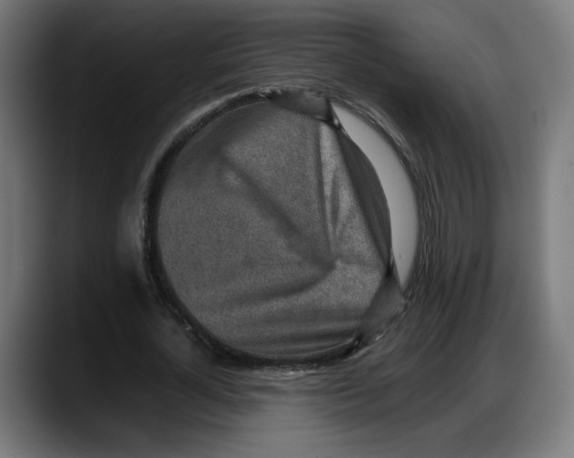 X0000087750724200705291033