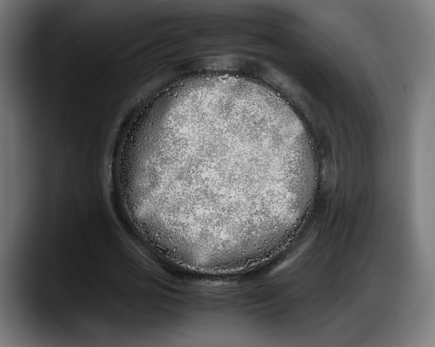 X0000087750725200705291033