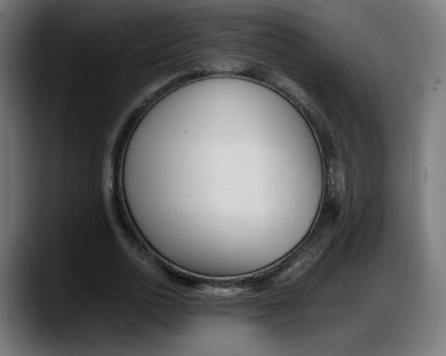 X0000087750726200705291033