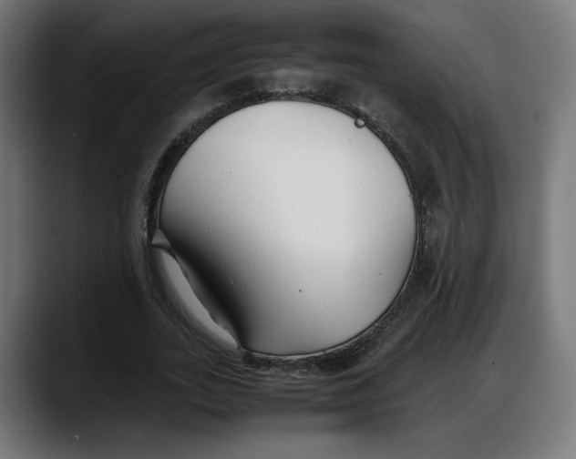 X0000087750727200705291033