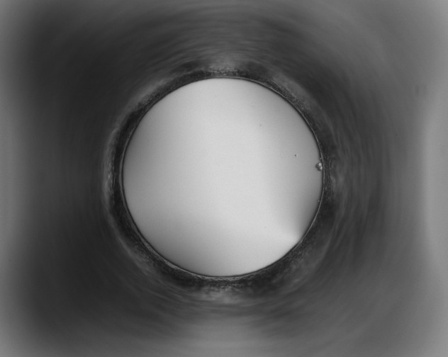 X0000087750728200705291033