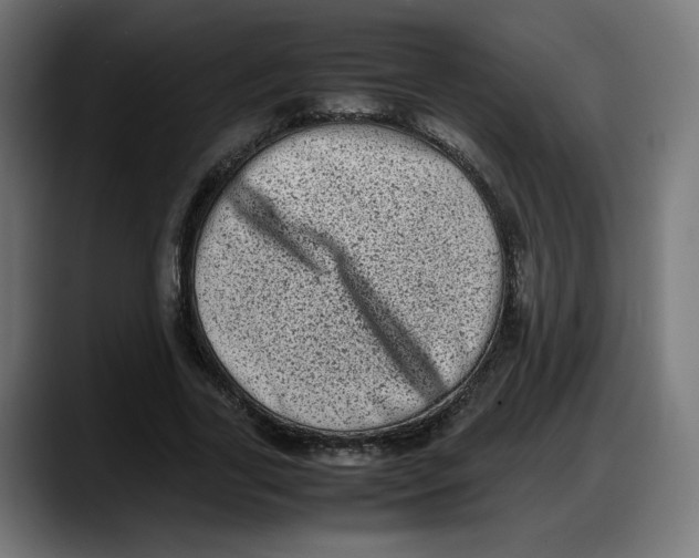 X0000087750731200705291033