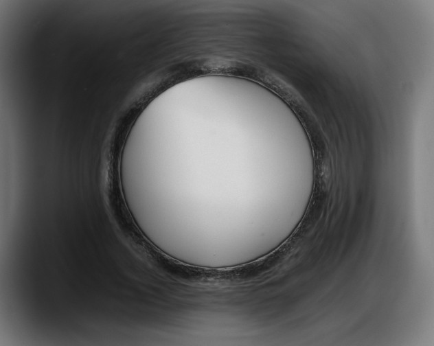 X0000087750732200705291033