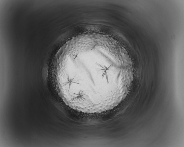 X0000087750733200705291033