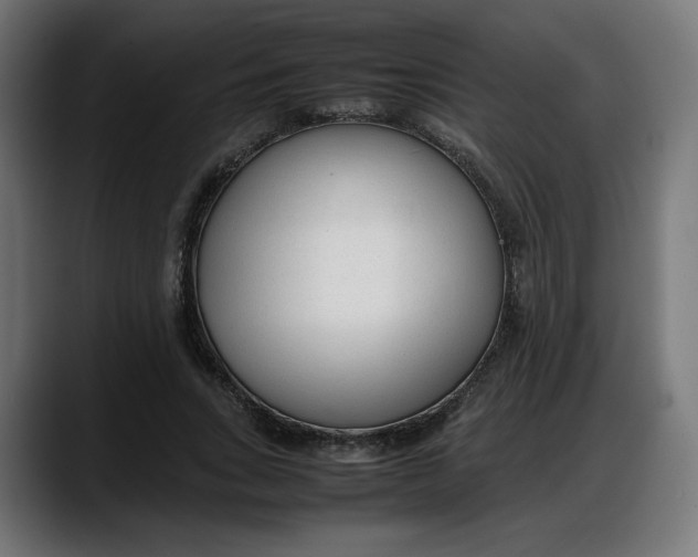 X0000087750735200705291033