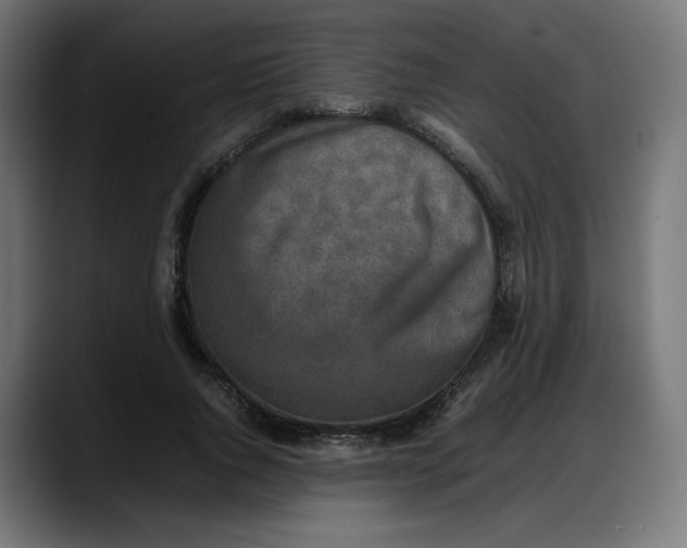 X0000087750736200705291033