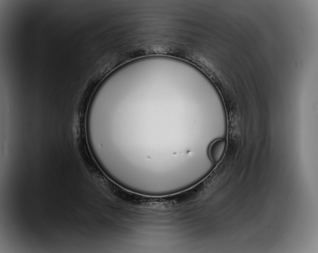 X0000087750738200705291033