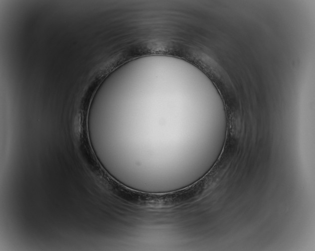 X0000087750740200705291033