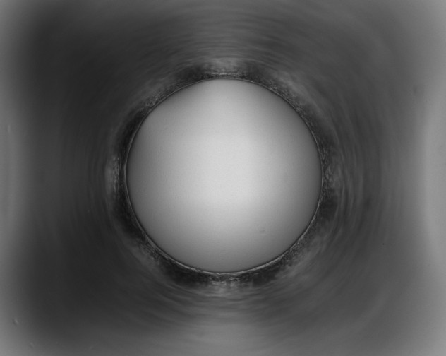 X0000087750744200705291033