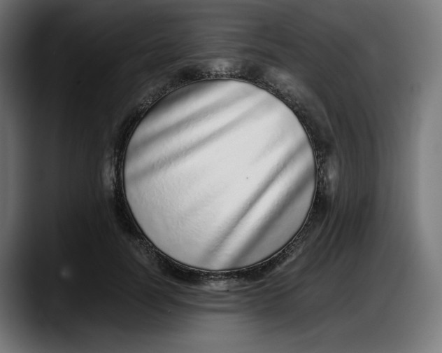 X0000087750746200705291033