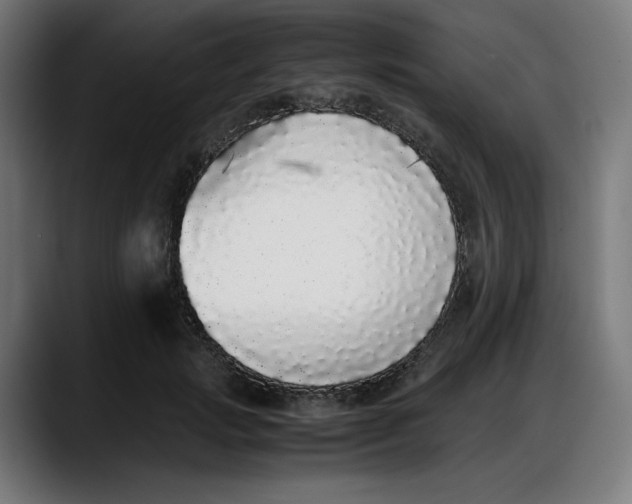 X0000087750749200705291033