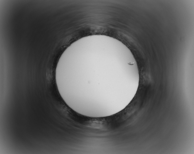 X0000087750756200705291033