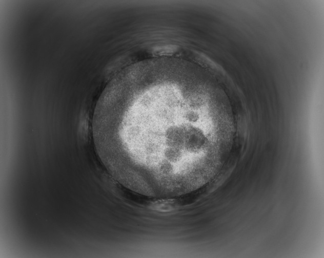 X0000087750761200705291033