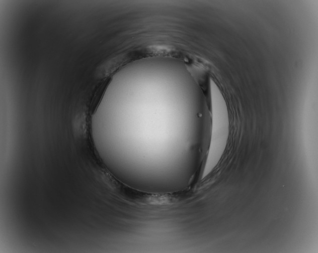 X0000087750762200705291033