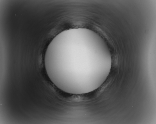 X0000087750764200705291033