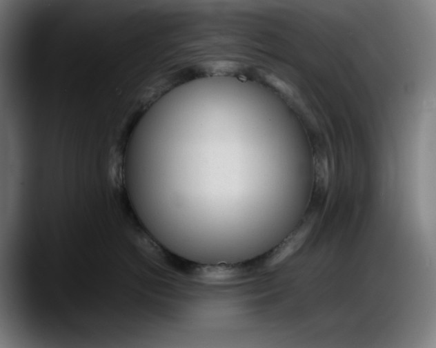 X0000087750766200705291033