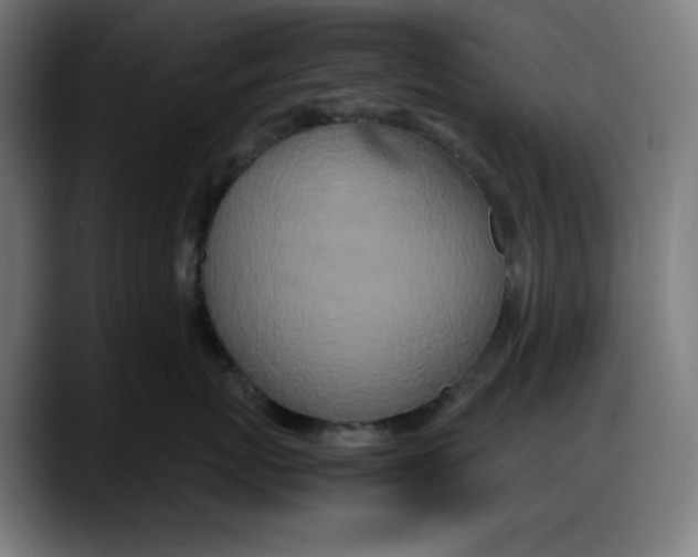 X0000087750767200705291033