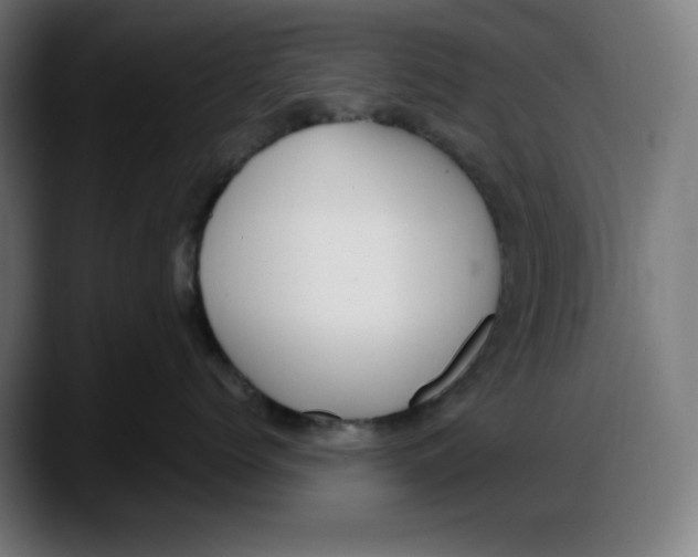 X0000087750768200705291033