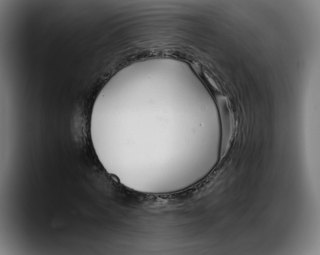 X0000087750772200705291033