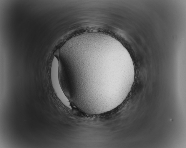 X0000087750775200705291033